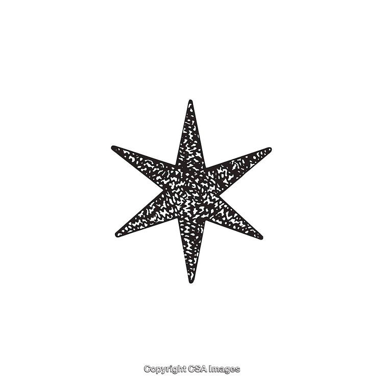 Abstract Black and White Patterned Star Shape on White Background