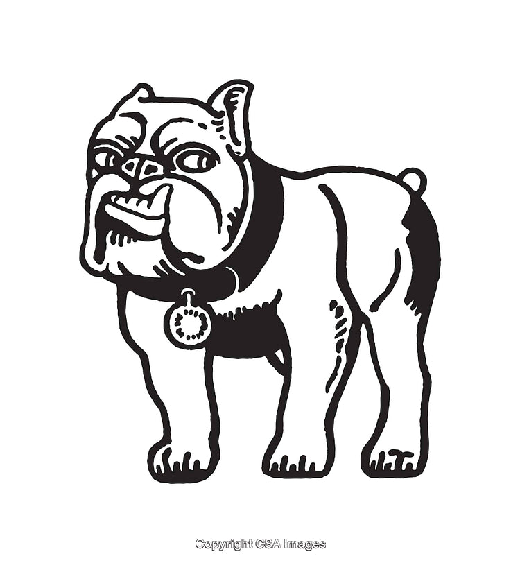 Black and White Line Art Illustration of a Bulldog with Collar