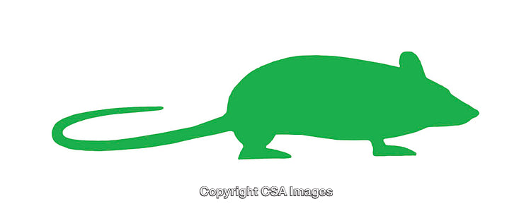 Green Mouse Silhouette Icon Isolated on White Background