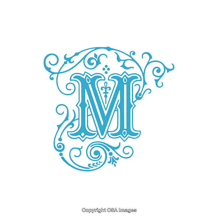 Ornate Monogram Letter M in Decorative Blue Flourish Design Illustration