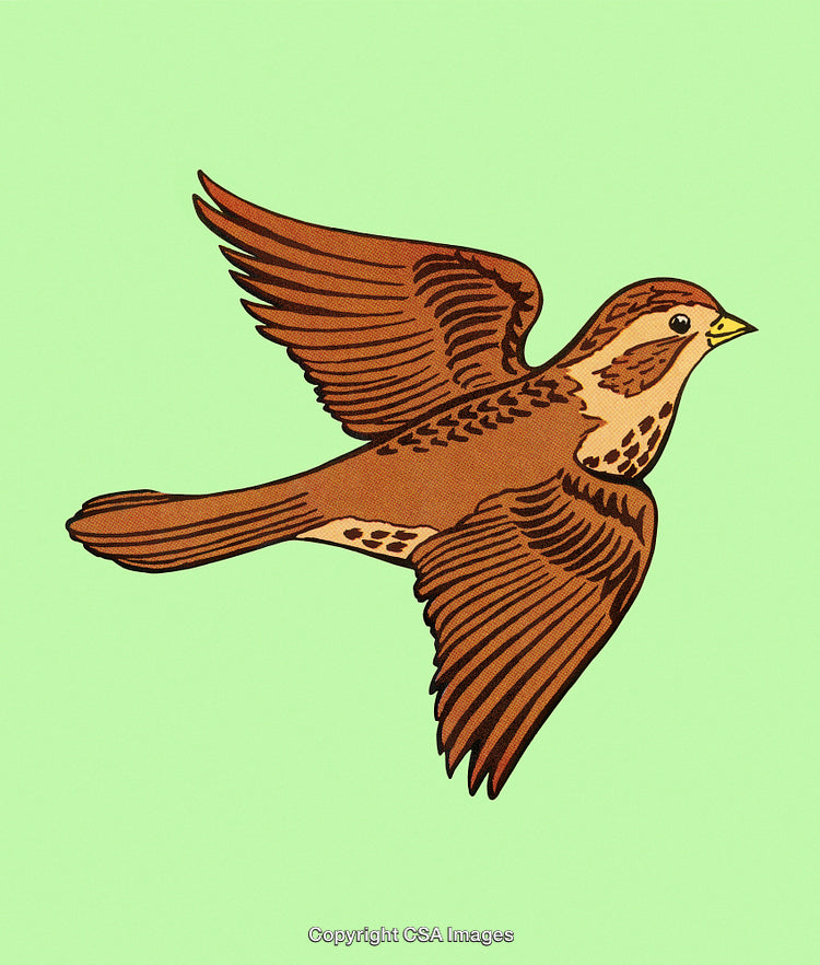 Colorful Illustrated Sparrow Flying Against a Vibrant Pastel Background