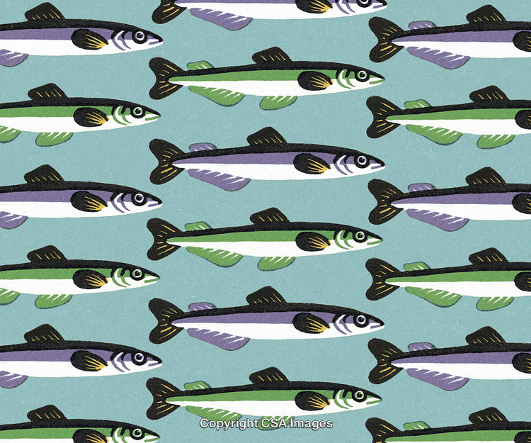 Fish Pattern
