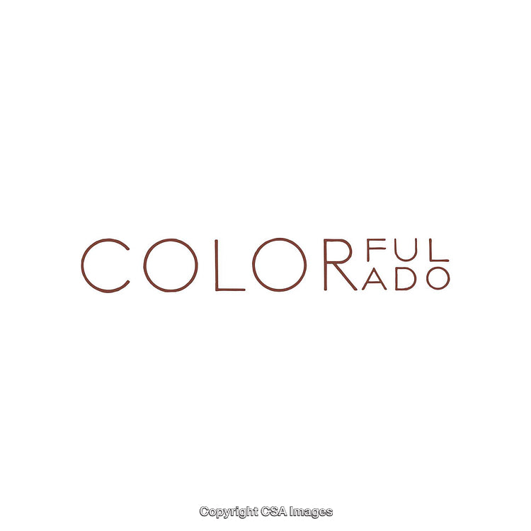 Modern Minimalist Typography Design with Stylish Decorative Fonts in Warm Colors