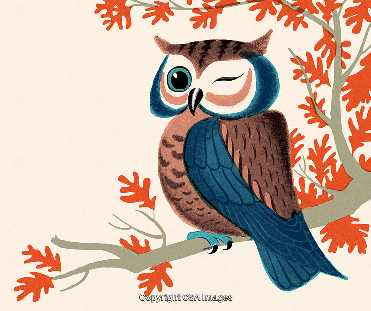 Illustrated Owl Winking and Perched on a Branch with Autumn Foliage