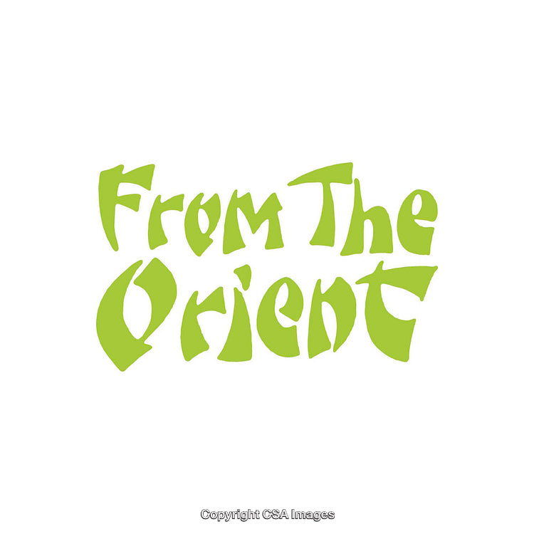 Green Text Logo With Unique Playful Typography Design