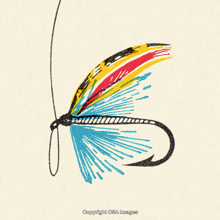 Colorful Drawing of a Detailed Fishing Fly for Angling Enthusiasts