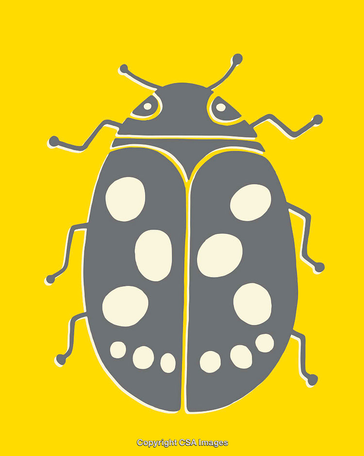 Colorful Illustration of a Ladybug on a Vibrant Yellow Background