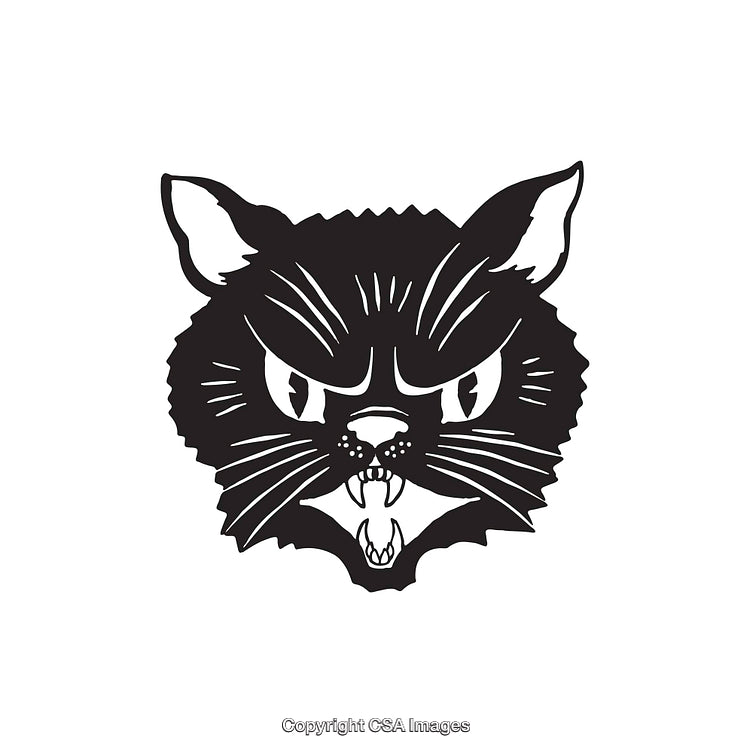 Black and White Line Art Illustration of an Angry Cat's Face