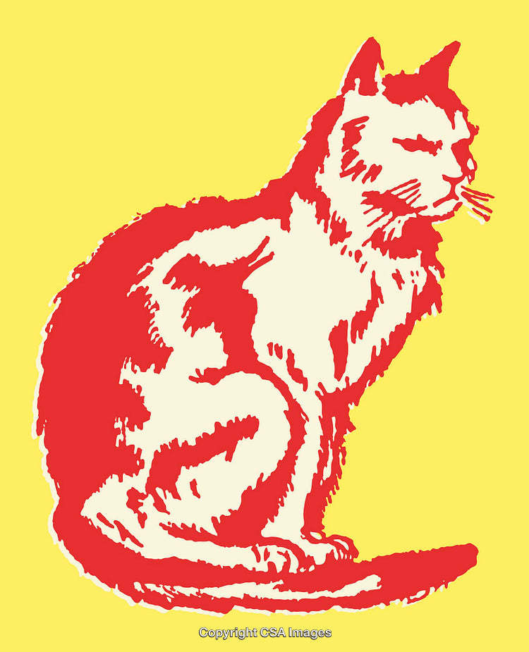 Stylized Color Artwork of a Cat Against Yellow Background
