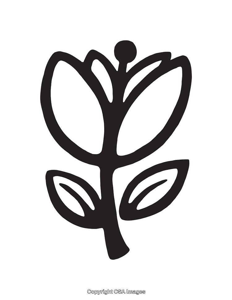 Minimalist Black and White Line Art Flower Illustration Artwork