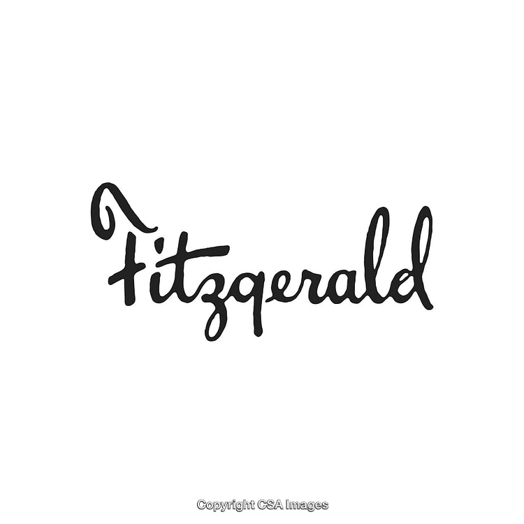 Stylized Script Logo Featuring the Name Fitzgerald in Elegant Handwriting