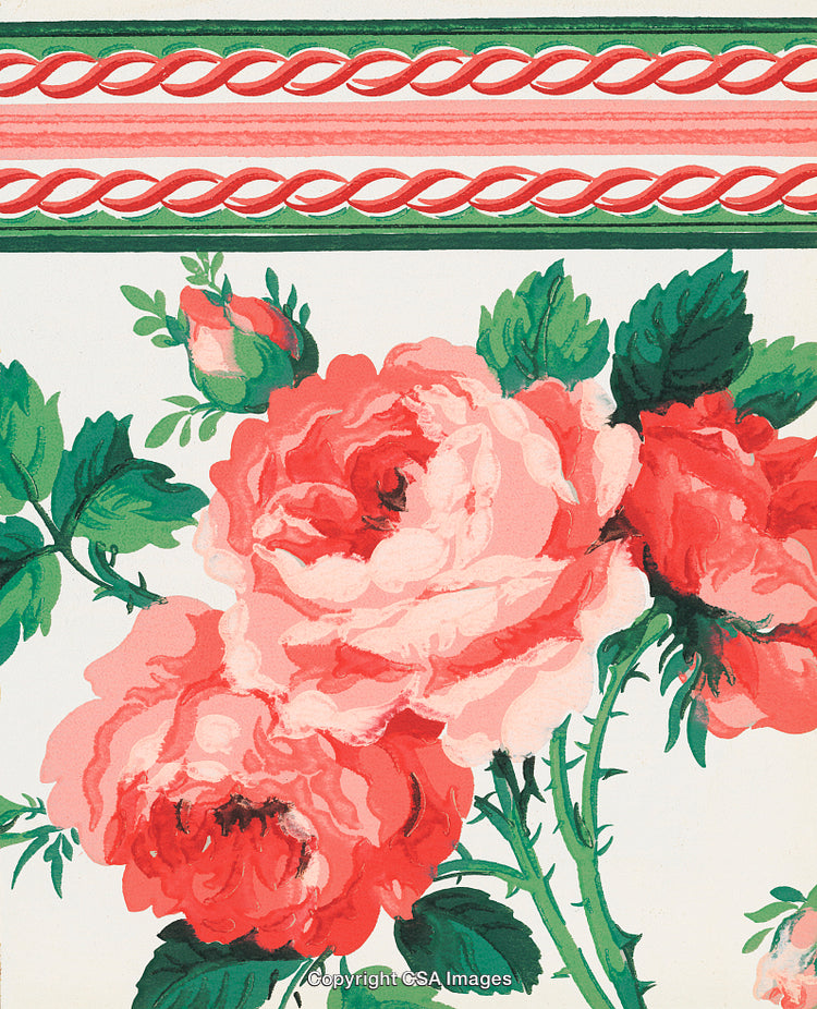 Vibrant Pink Roses with Green Leaves and Decorative Border on White Background