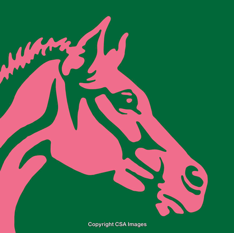 Colorful Line Art Illustration of a Horse in Pink and Green