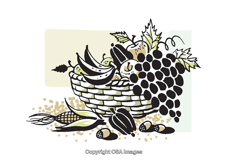 Hand-Drawn Illustration of Fruit Basket with Grapes, Bananas, and Corn