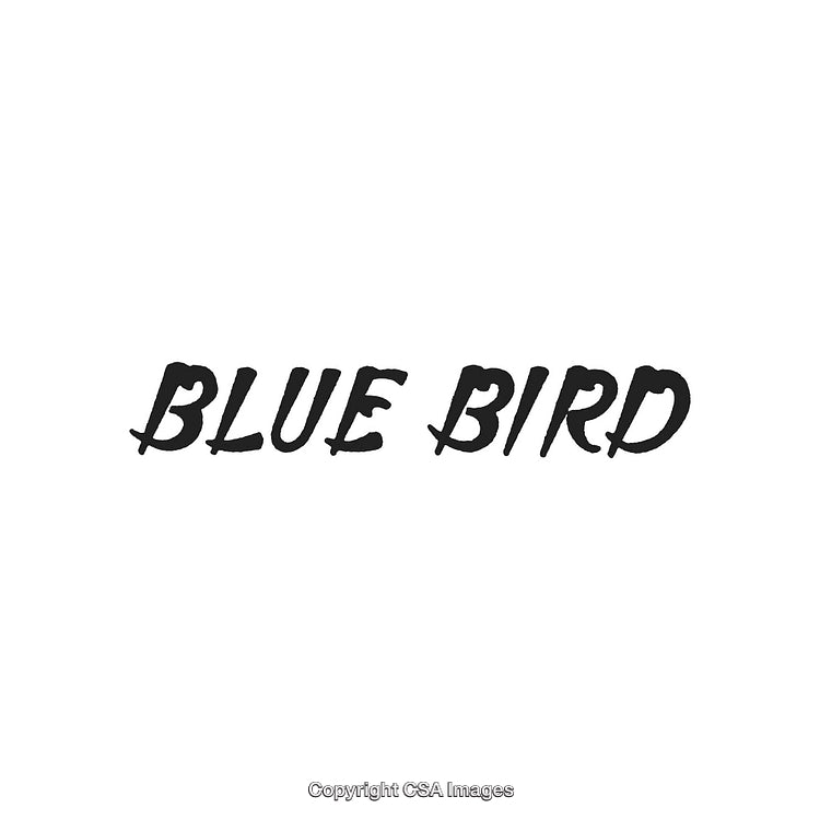 Stylized Black Text Art Depicting 'Blue Bird' on White Background