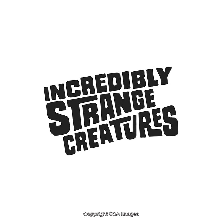 Bold Display of Typography With a Quirky and Intriguing Phrase