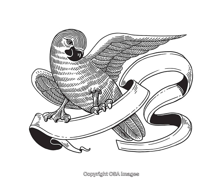 Ornate Line Art of a Bird with Ribbon Element