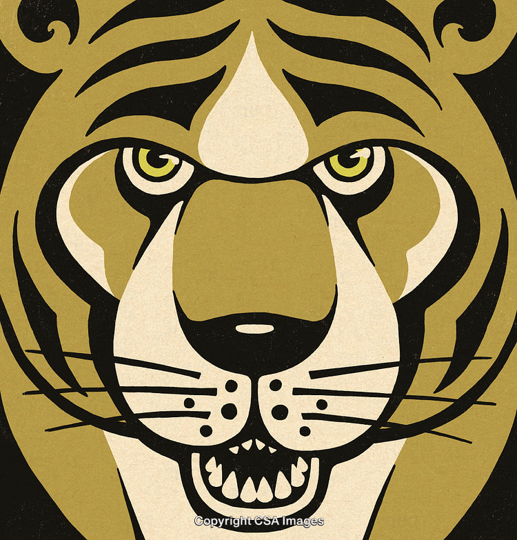Stylized Illustration of a Tiger Face With Bold Outline and Striking Features