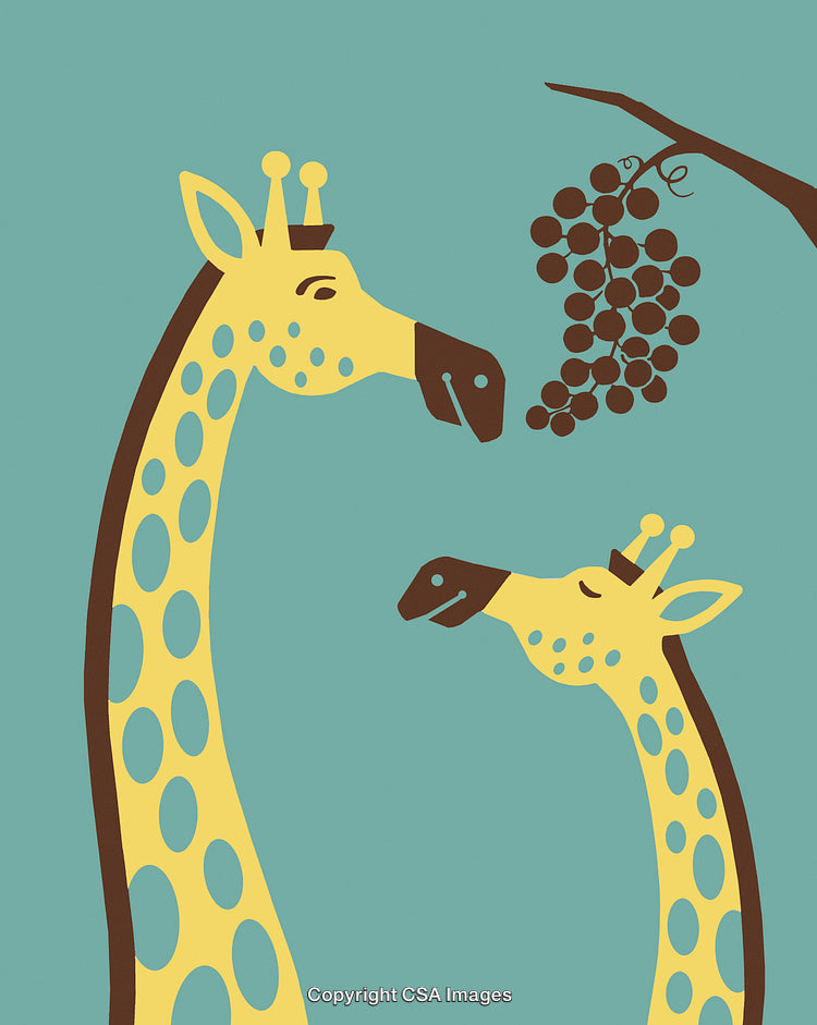 Whimsical Giraffes Enjoying Fruit Illustrated in a Minimal Flat Design Style