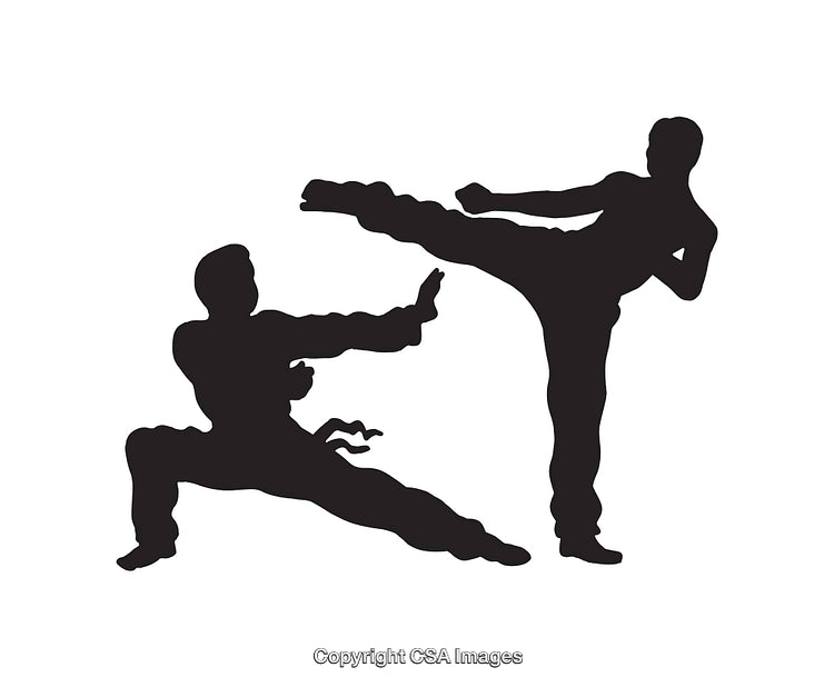 Silhouette of Martial Artists in Combat Pose Showcasing Dynamic Movements