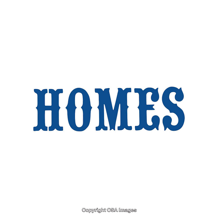 Blue Text Reading 'HOMES' on a White Background in Block Font