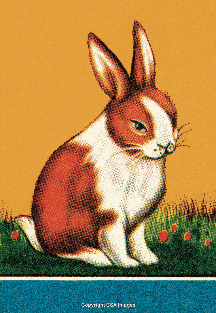 Vintage Illustration of a Sitting Rabbit on Grass with Yellow Background