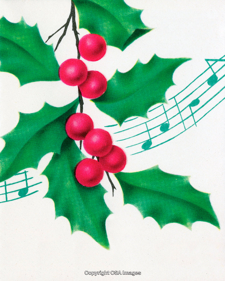 Traditional Christmas Holly With Festive Green Leaves and Red Berries Illustration