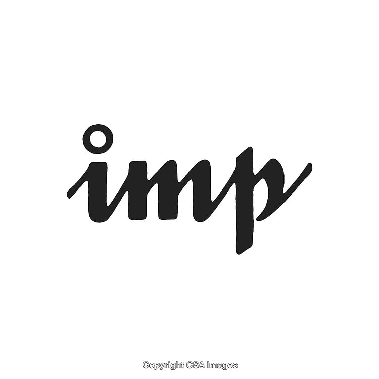 Modern Black Ink Wordmark Logo on a White Background