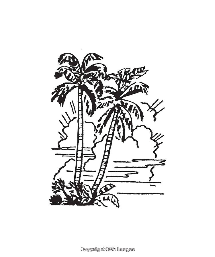 Hand-Drawn Black And White Tropical Seaside Line Art Illustration