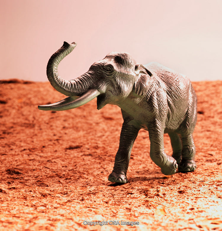 Plastic Elephant Figure on Brown Surface Under Soft Lighting
