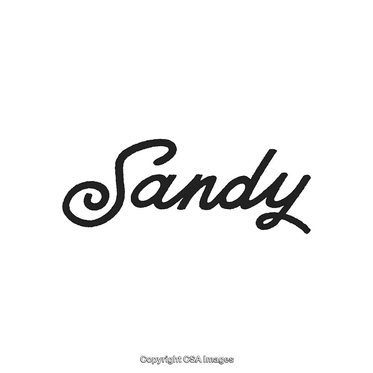 Elegant Black Handwritten Script of the Word 'Sandy' on White Background