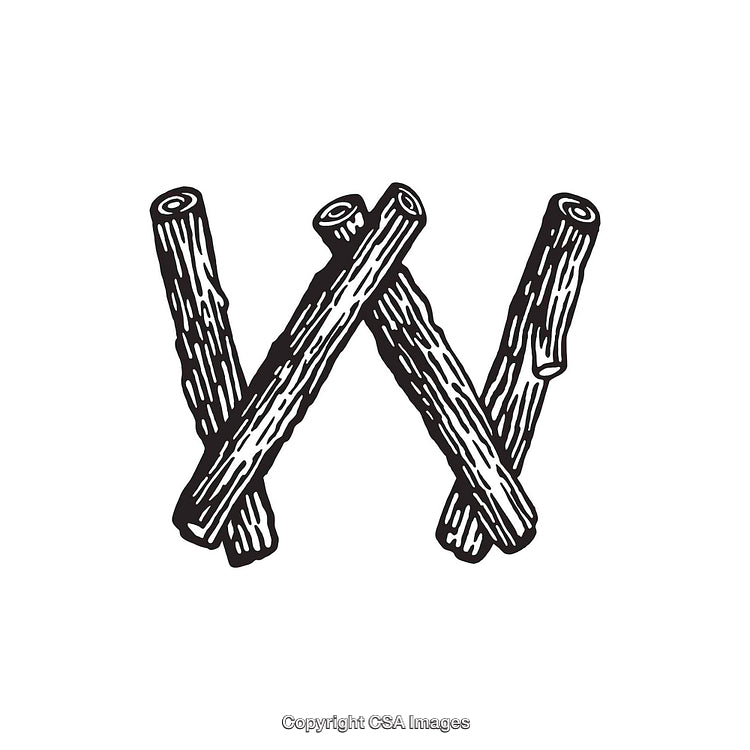 Rustic Letter W Composed of Wooden Sticks With Artistic Design