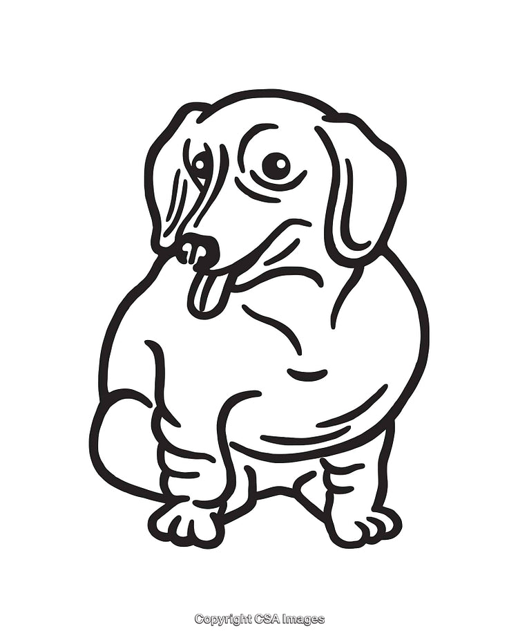 Charming Black and White Dachshund Line Art Illustration With Cute Details