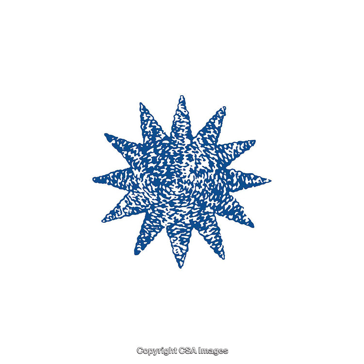 Blue Starburst Shape with Textured Pattern on White Background