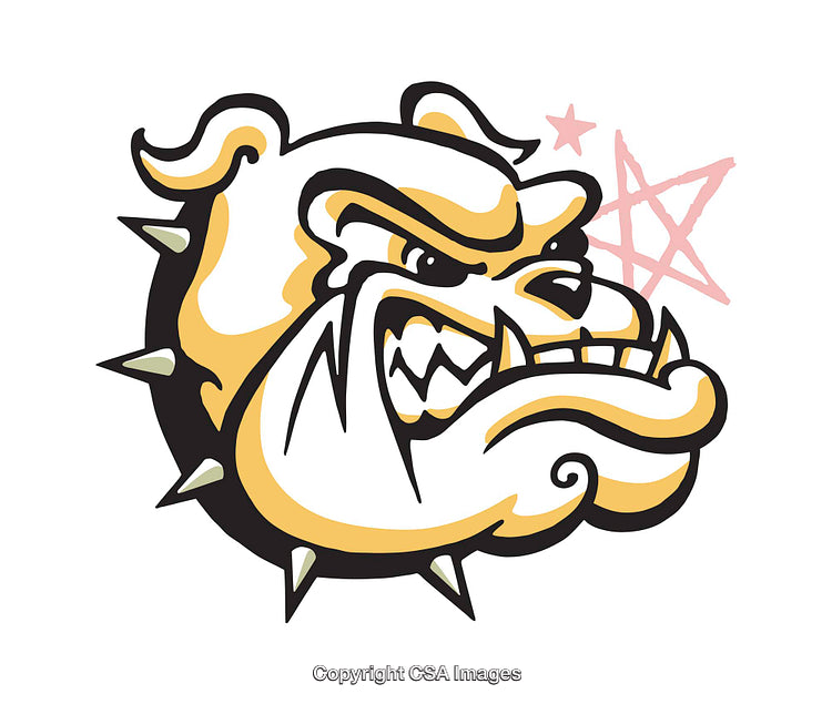 Fierce Cartoon Bulldog Mascot With Spiked Collar and Added Star Accents
