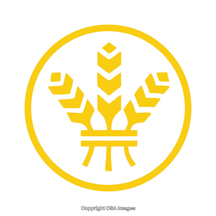 Golden Wheat Symbol Isolated in a Circular Frame on White Background