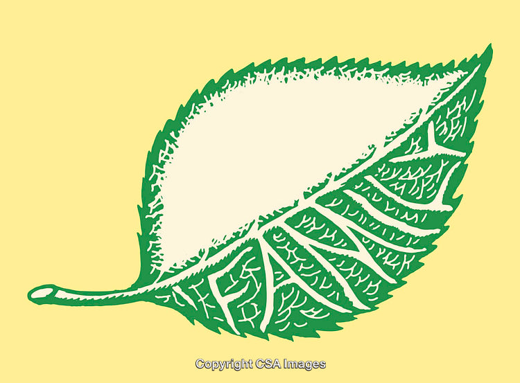 Green Leaf Artwork with Family Concept on Yellow Background