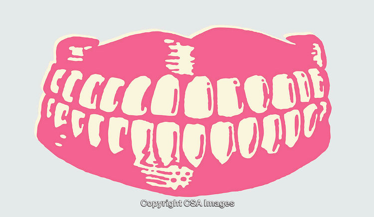 Pink and White Line Art Illustration of Human Teeth Closeup