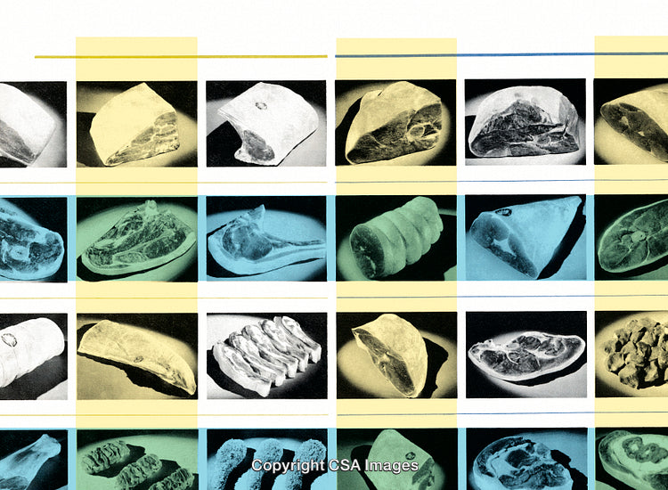 Collection of Colorful Illustrated Meat Cut Images in a Grid Layout