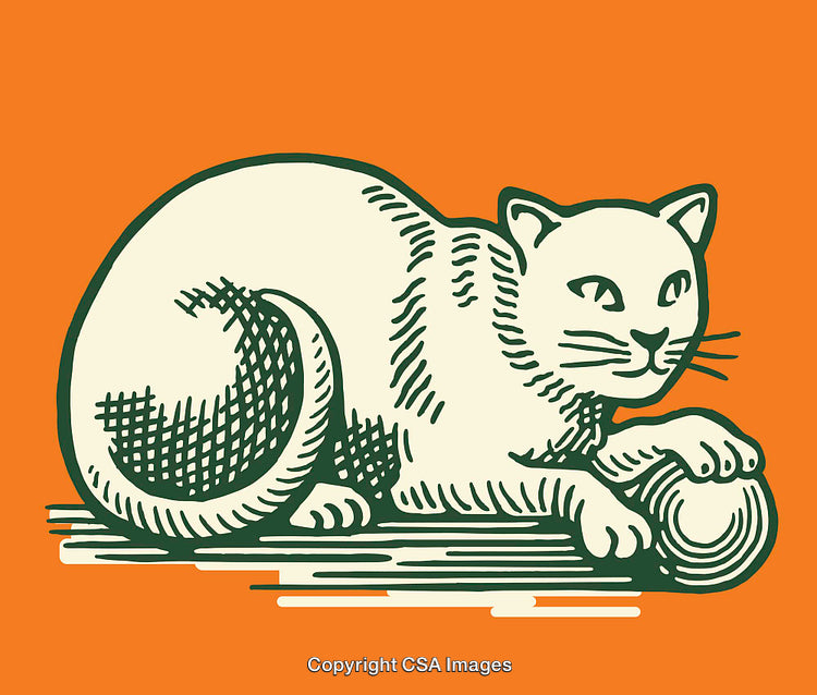 Retro Styled Line Art of a Cat on an Orange Background