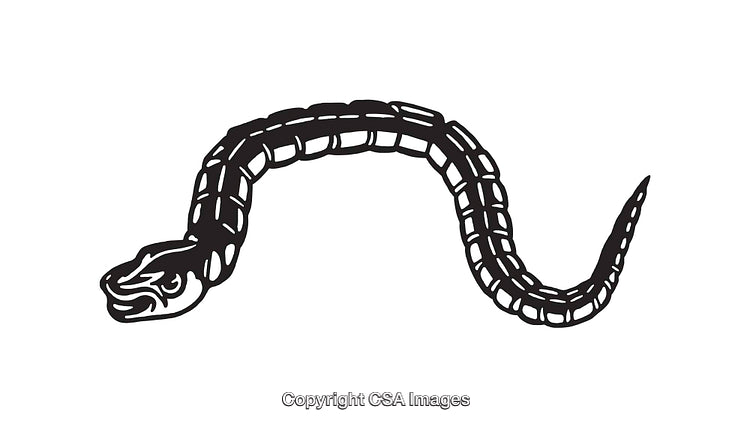 Black and White Line Art Illustration of a Coiled Snake
