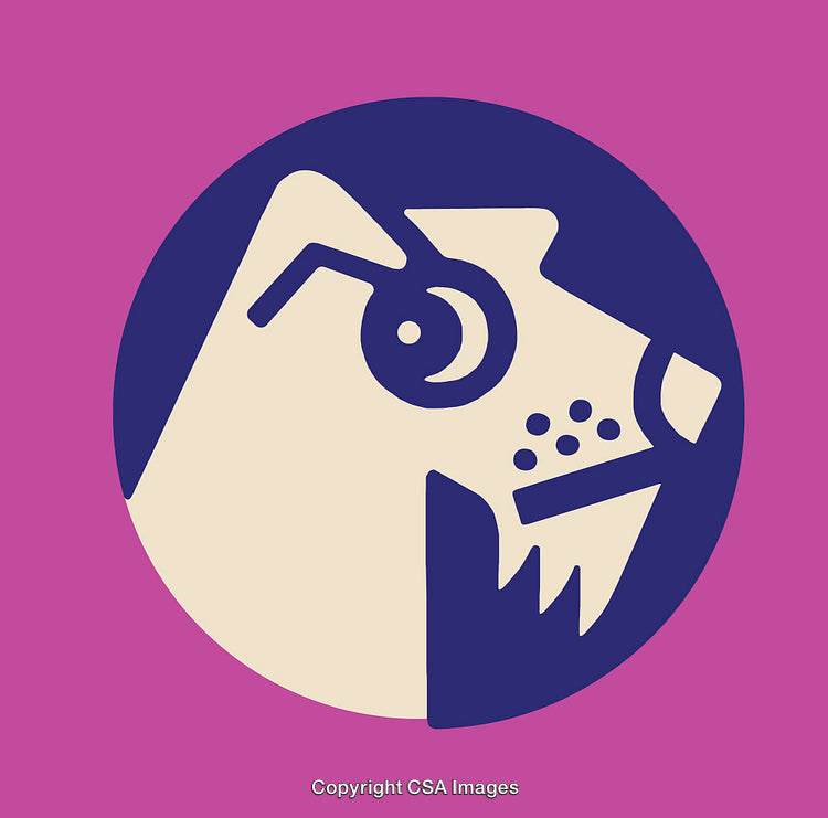 Colorful Modern Line Art Illustration of a Dog Profile