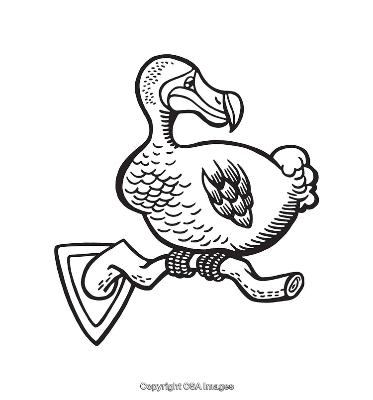 Black and White Dodo Illustration Featuring Detailed Line Art Design