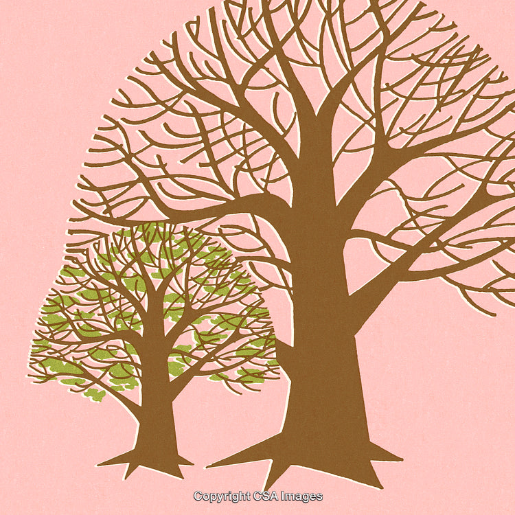 Artistic Illustration of Two Stylized Trees on a Pink Background