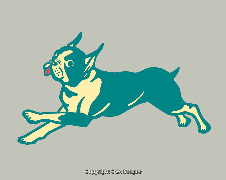 Colorful Line Art Illustration of a Leaping Dog With Vibrant Contrast