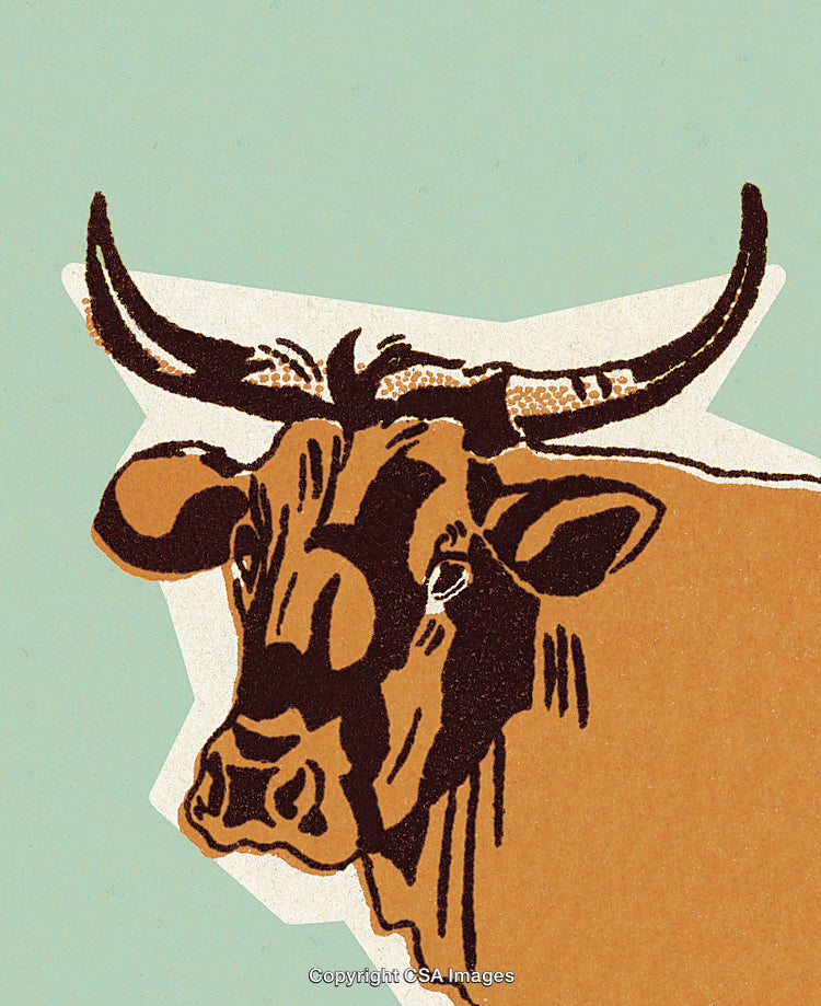Cattle