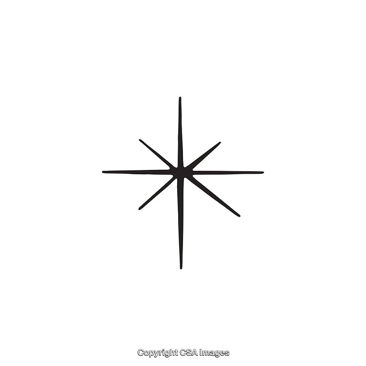 Minimalistic Black and White Eight-Pointed Star Shape Illustration
