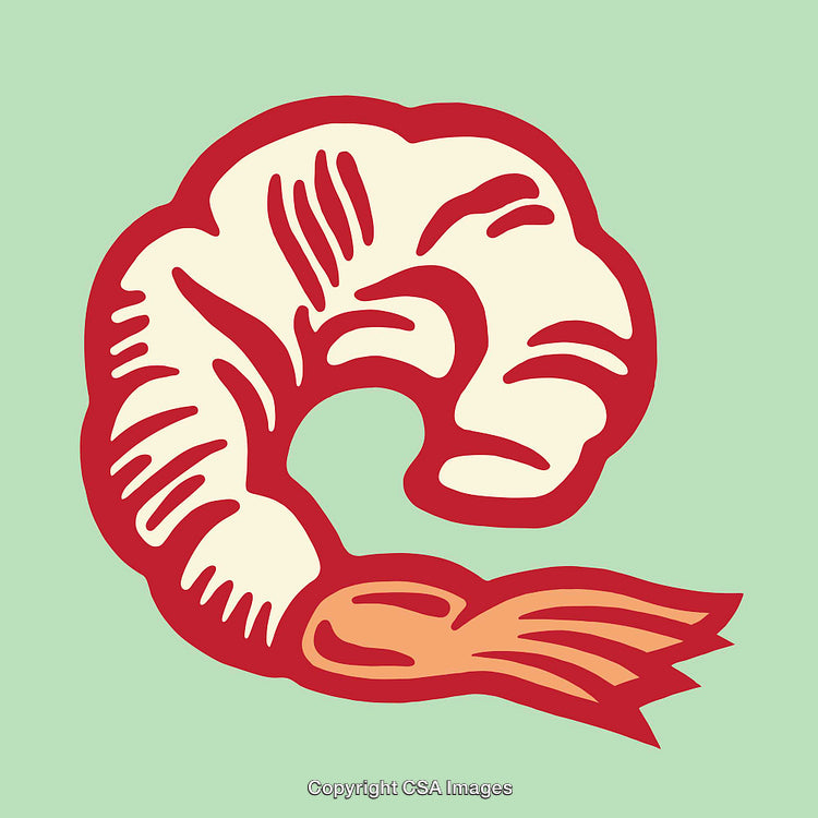 Bold Line Art Illustration of a Shrimp on Soft Green Background