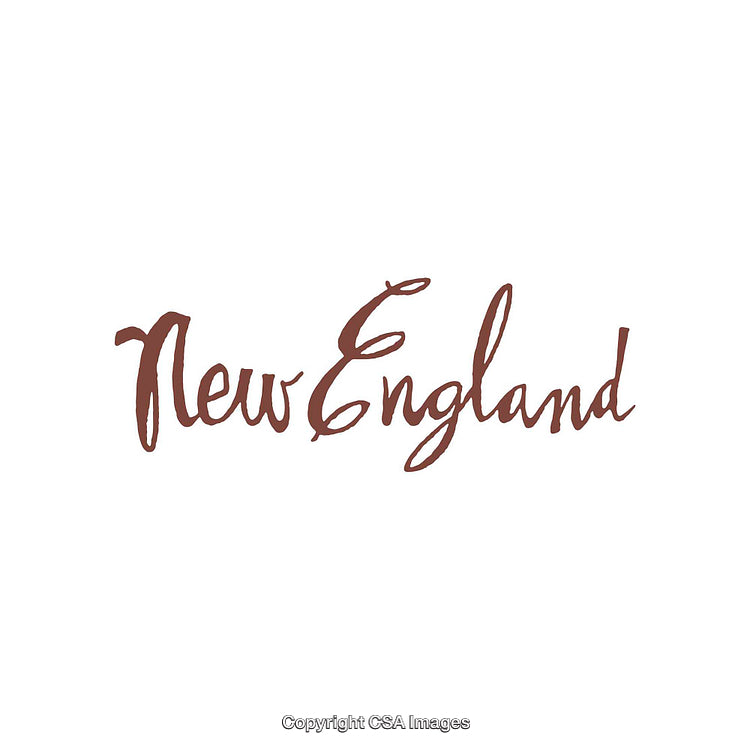 Elegant Handwritten Script of 'New England' in Minimalistic Design
