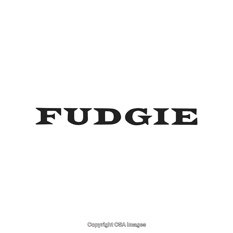 Stylish Black Text Fudgie on Minimalist White Background